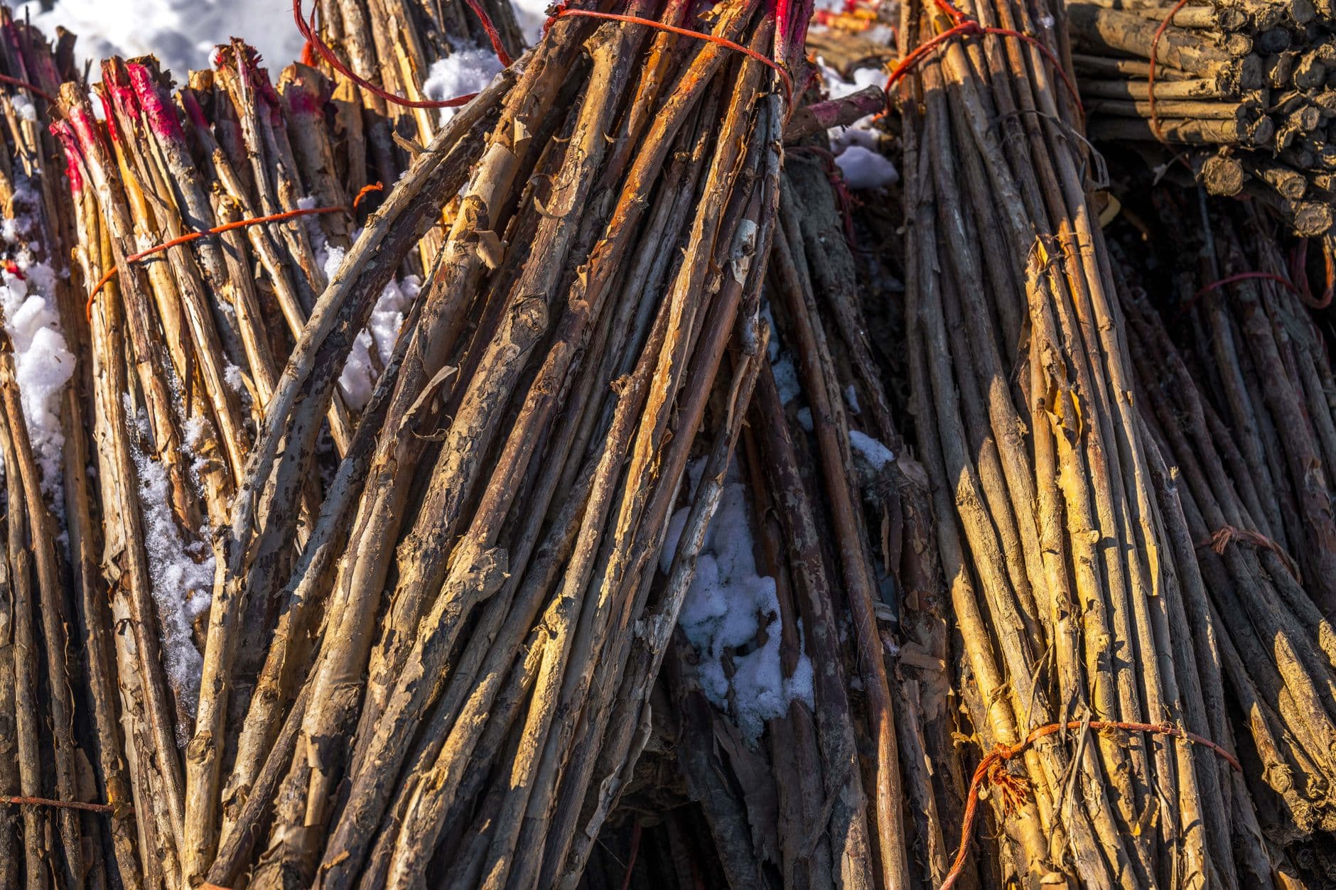 Cover image for 10 Steps to Prepare Your Garden for the Winter Months