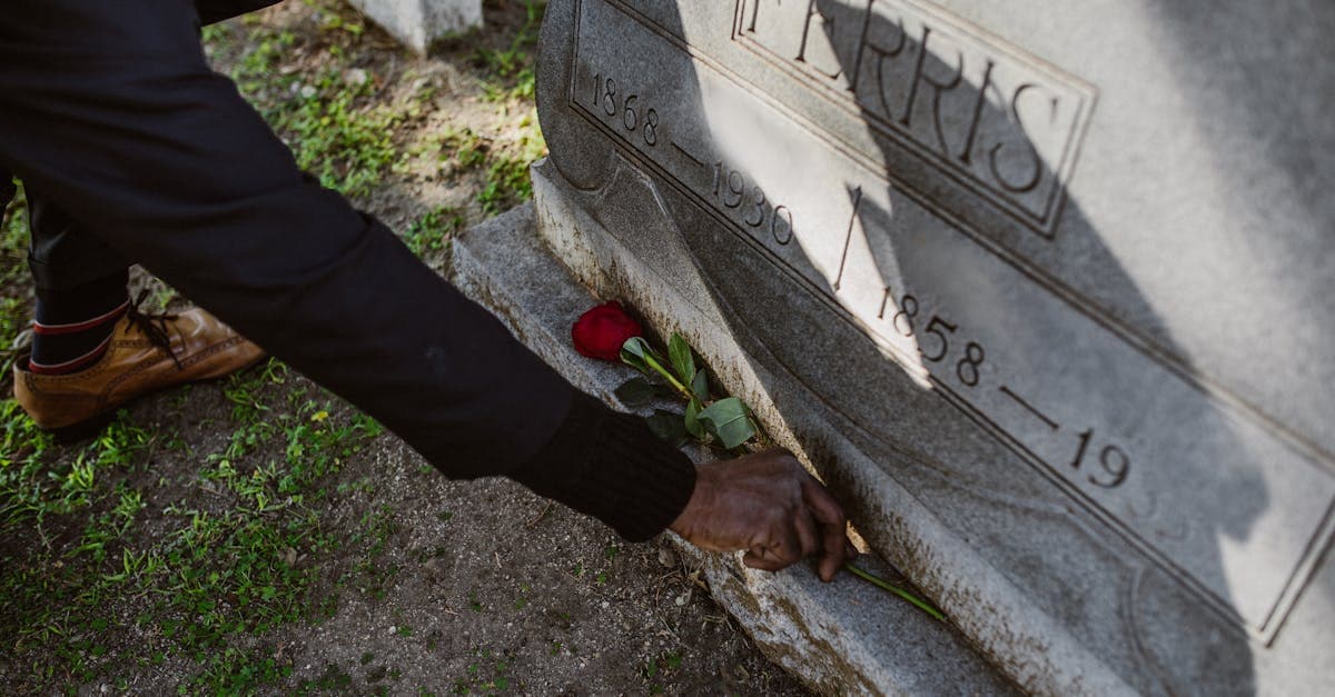 Cover Image for Unlocking the Secrets of Hair Loss: Effective Solutions You Need to Know