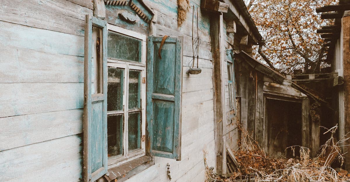 Cover Image for Embrace Self-Sufficiency: The Ultimate Guide to Modern Homesteading