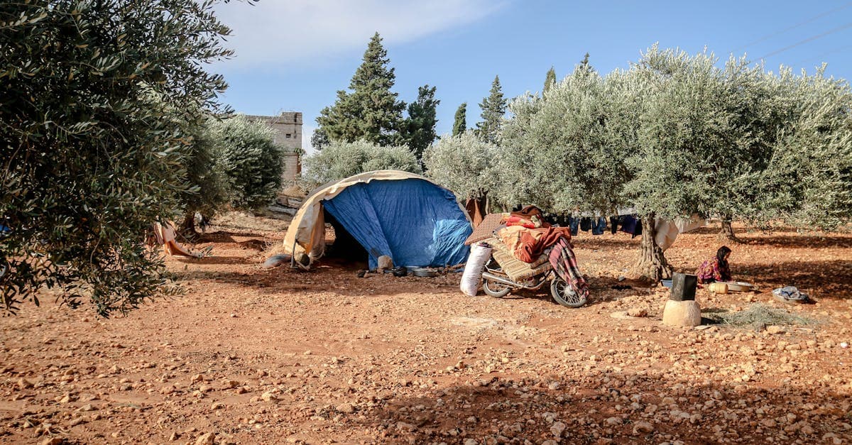 Cover Image for Mesothelioma Lawsuit Settlement: 7 Proven Tips to Win