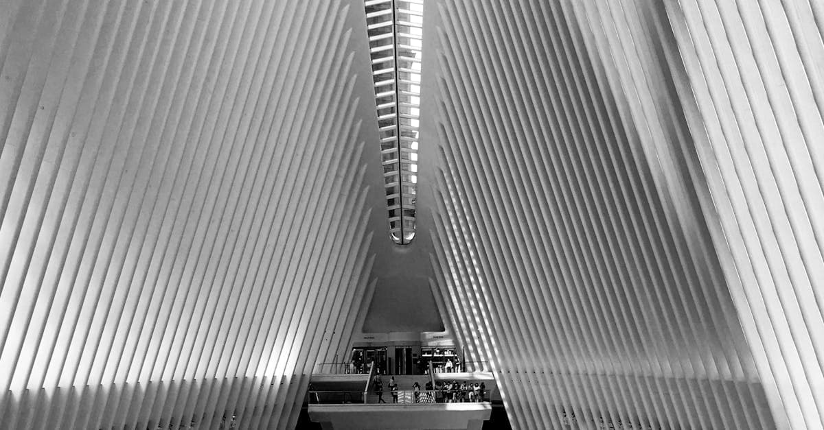 Cover Image for Transforming Creativity: Exploring the New World School of the Arts