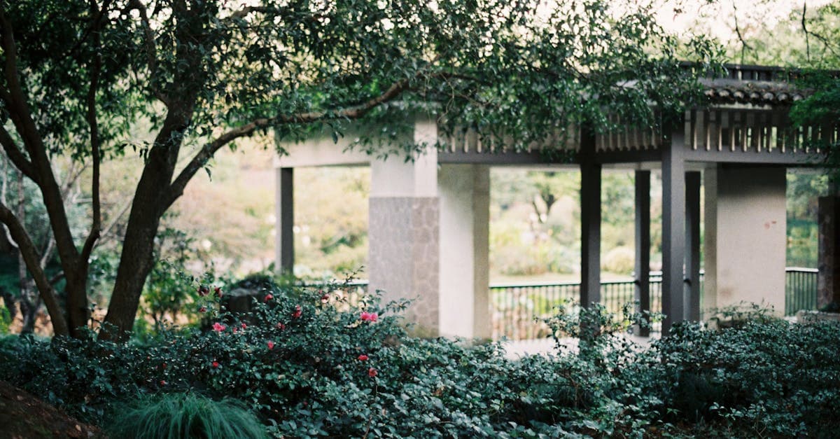 Cover Image for Transform Your Outdoors: Expert Guide to Pergola Pavilion Installation