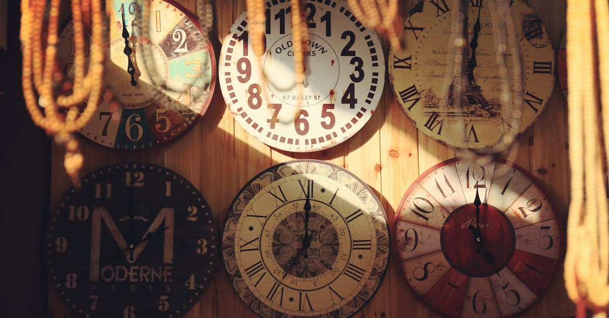 Cover Image for Psychology Degree Guide: 7 Smart Paths to Choose Well