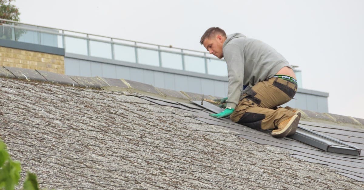 Cover Image for Top 5 Expert Tips for Effective Roof Water Leak Repair